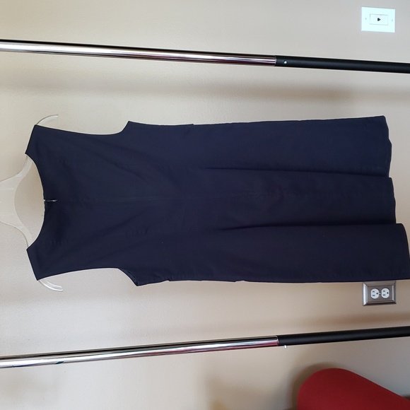 The Limited Dress - Picture 4 of 4